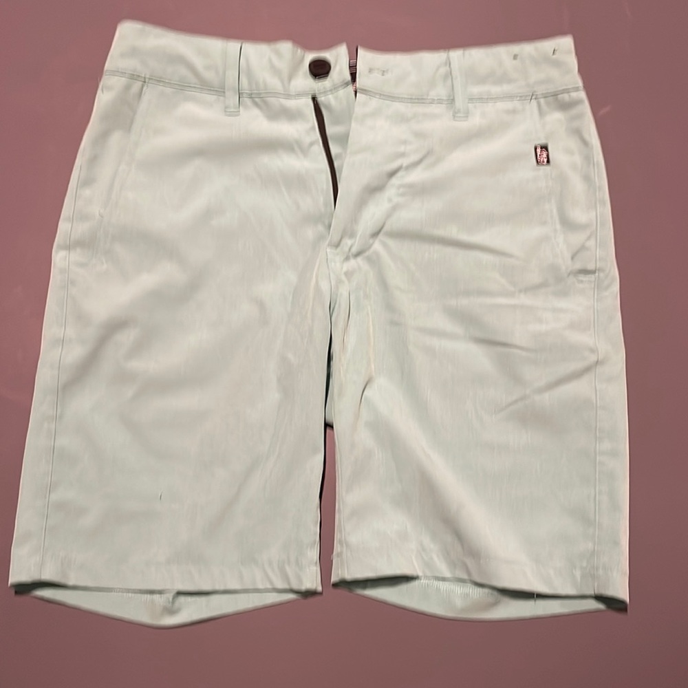 Men’s size 29 Seafoam Green Hybrid Shorts